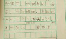 和植物的故事小练笔