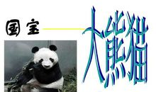 动物的尾巴说明文