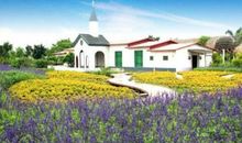 美丽的香草世界