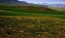 美景草原入梦来