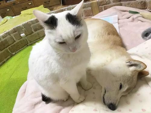 谢谢你走进我的生活