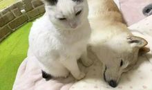 感谢您走进我生命