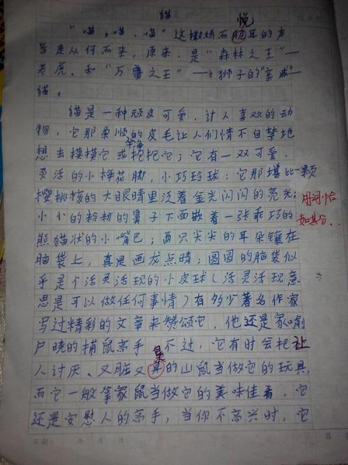 我熟悉的动物构图