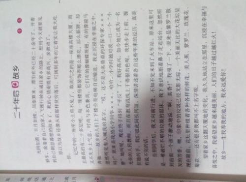 二十年后的故乡想象