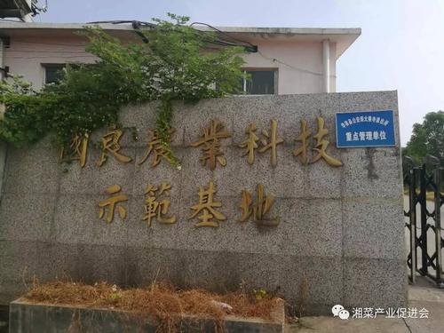 我的家乡华荣