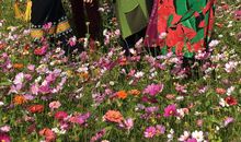 生命因友谊而芳香