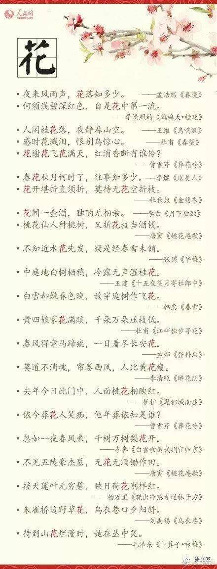 关于诗词会议的思考