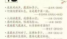 诗词大会观后感