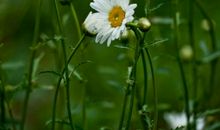 滋润了我的心田