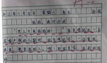 什么的启示作文