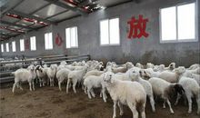 厨房里的新鲜事