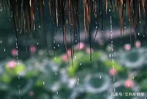 自然音乐家