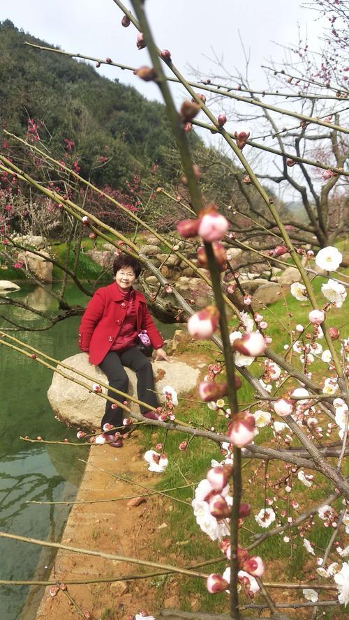 游览东方梅园
