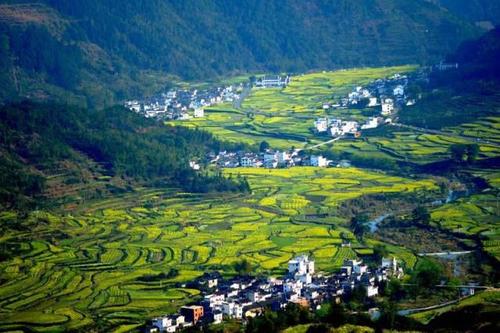 蓬莱的夏夜乡村