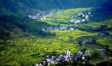 蓬莱的夏夜乡村