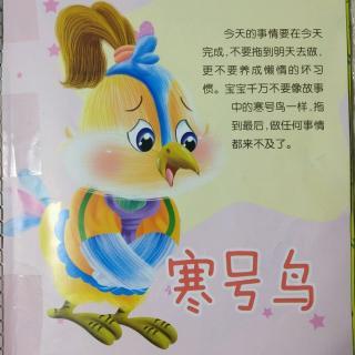 继续写冷鸟