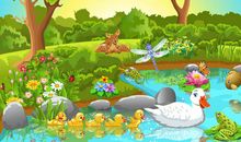 我与动物的故事