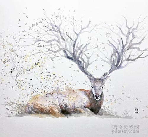 水彩笔的自述文件