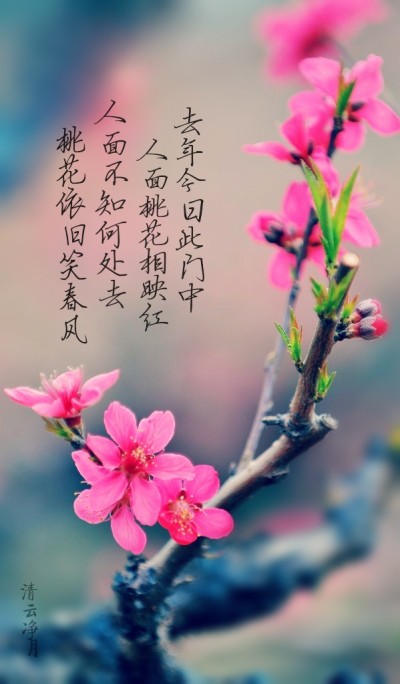 春风赞美