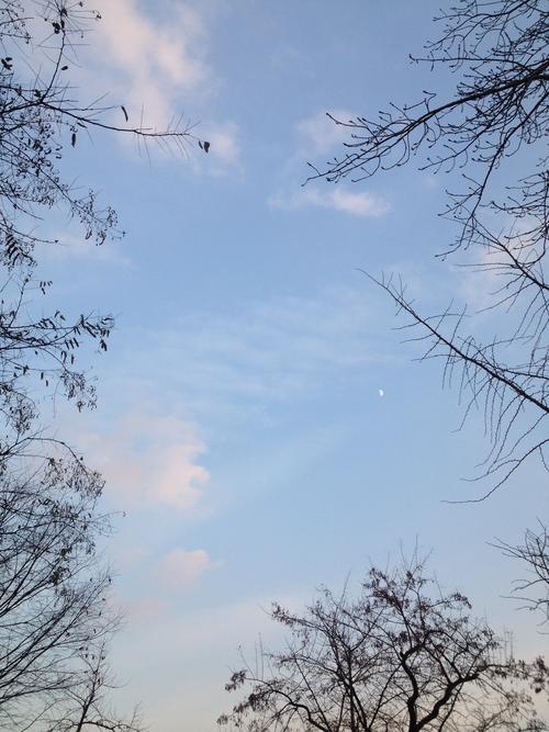 感恩