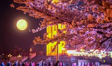 和谐之美在于互助