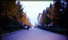 寻找你逝去的时光倒影