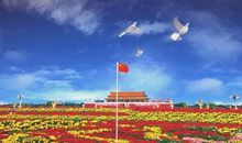 我为中国而感到骄傲