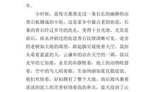 成长需要担当作文600字初二