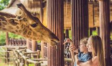 幸福的家庭动物园