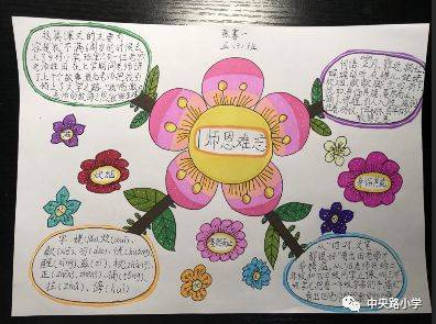 种子成长日记