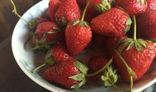 我爱家乡的草莓