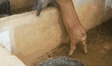 小姨，你还好吗