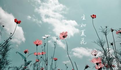 当出生像夏天的花朵，像织锦