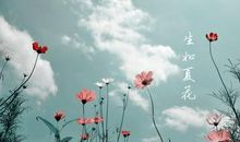 生如夏花时如素锦