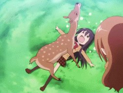 精神错觉