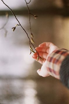 时间平静而美好