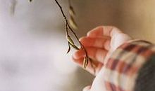 岁月静好生活本味