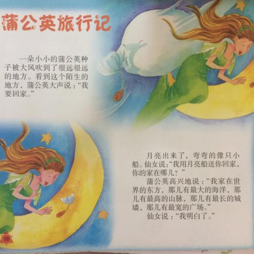 蒲公英的旅行记录