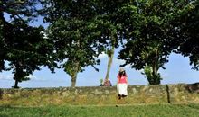 记忆中的那抹笑