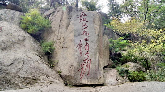 游台山