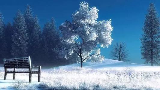 关于雪