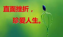 生命因挫折更美丽