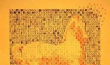 心中的那一抹橙色