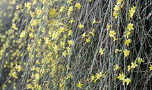 永驻心间的那份温暖