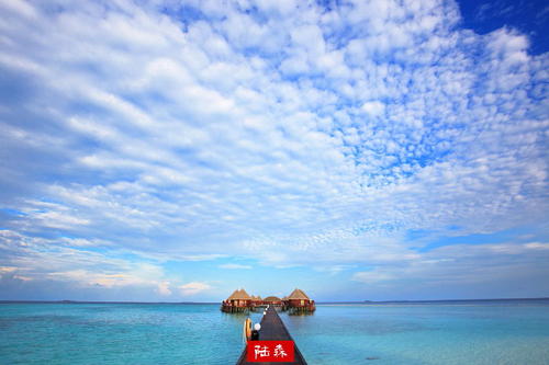 我去过的海