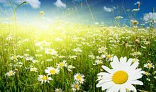 坚持让梦想花开