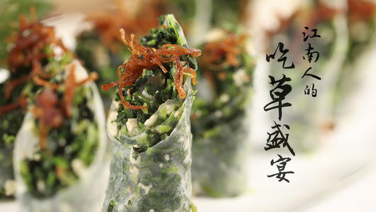 菊中的回忆