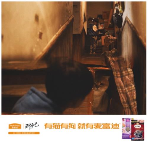 特殊的友谊