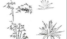 为人生画一棵小树