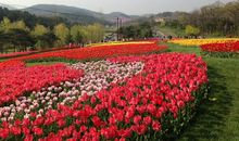 春游植物园游记